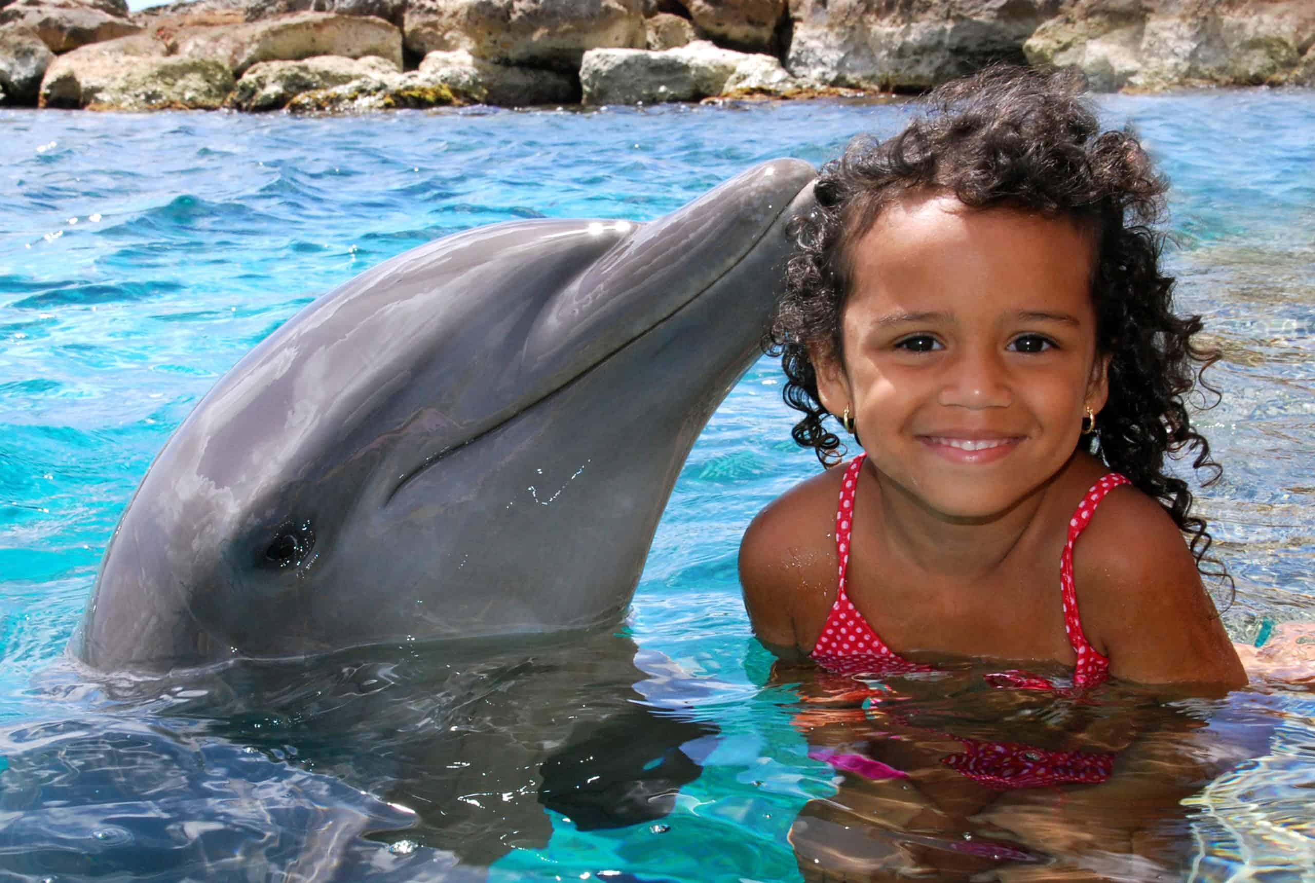 Dolphin Enconter Curacao 1