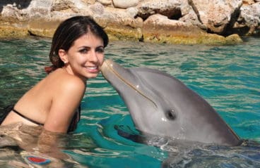 Dolphin Enconter Curacao 3