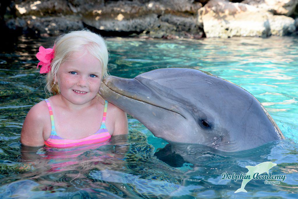 Dolphin Encounter Swim with Dolphins Curacao