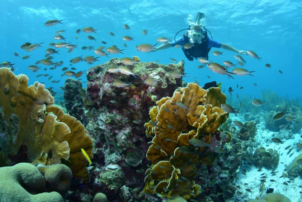 Scuba Diving Curacao 8