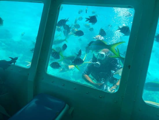 Seaworld Explorer Curacao 4