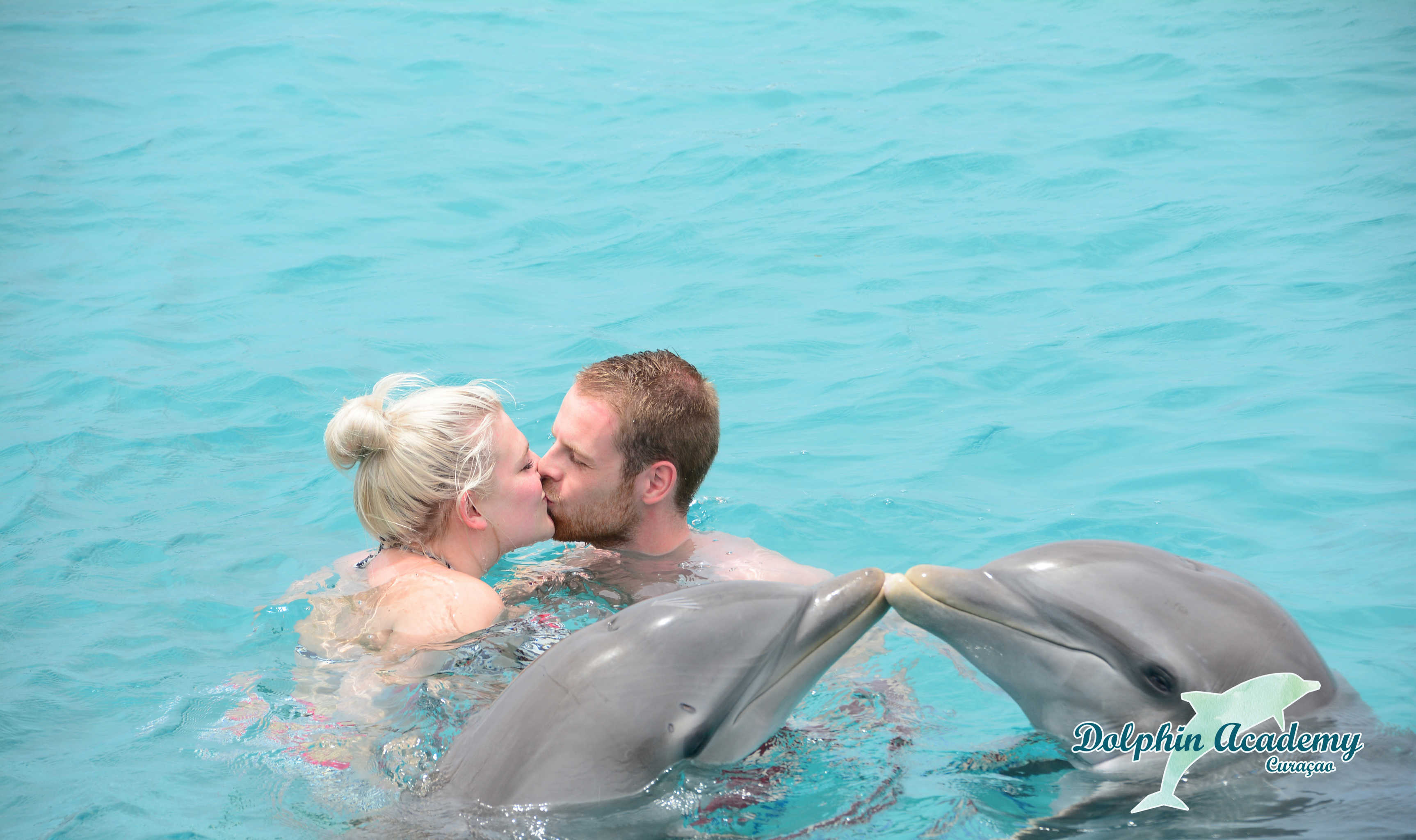 Swim with Dolphins Curacao 1