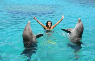 Swimming with Dolphins Curacao 3