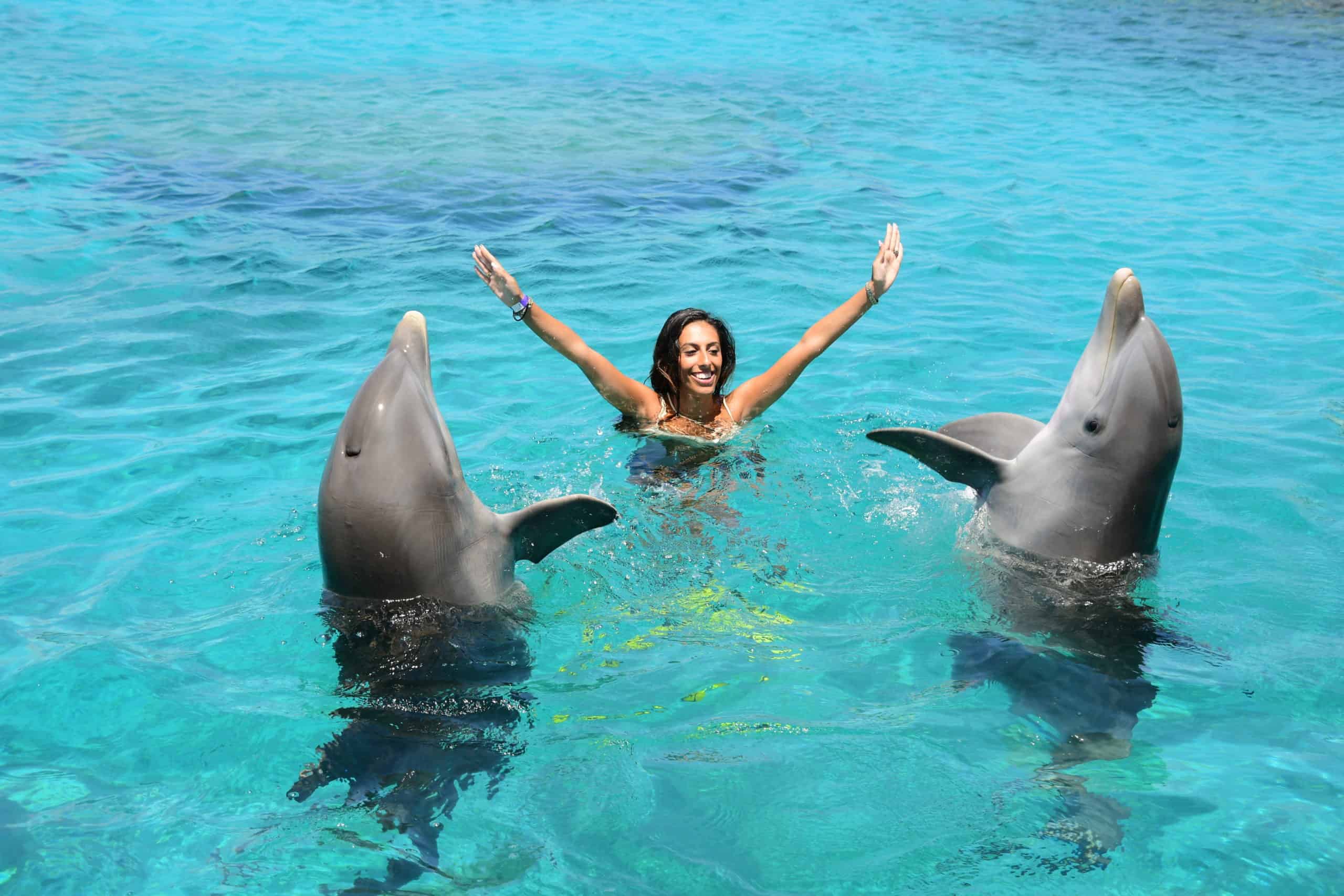 pindas hart Mart Dolfijnen Zwemmen op Curaçao – Curacao Activities