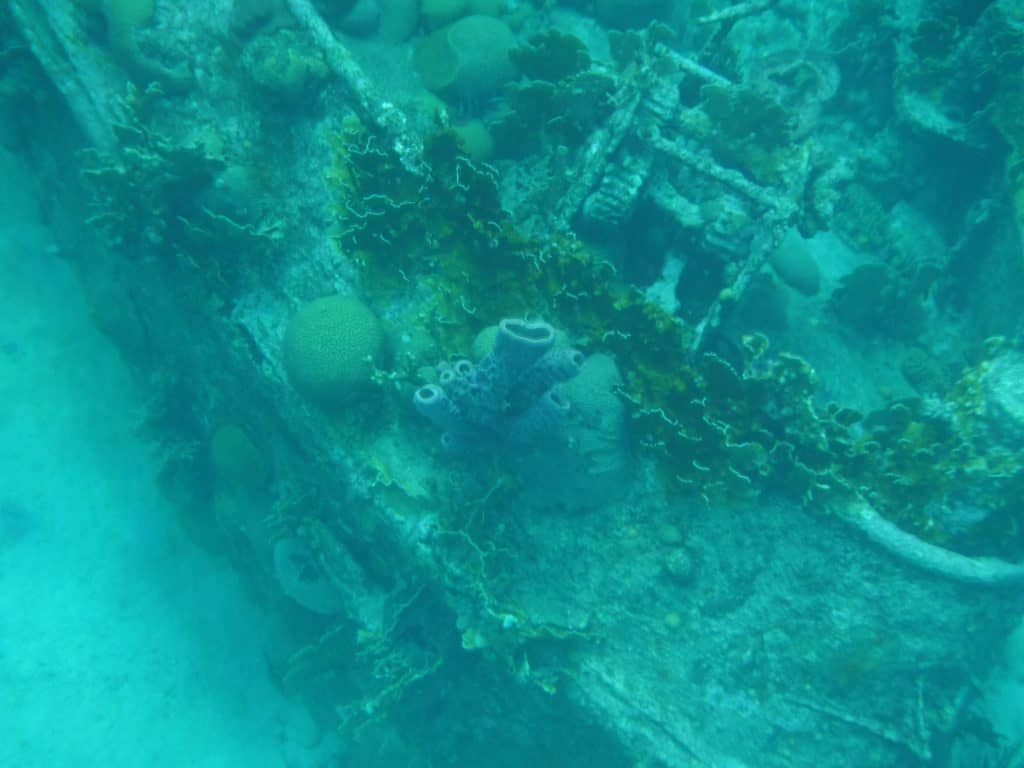 Curacao Snorkeling Shipwreck 2