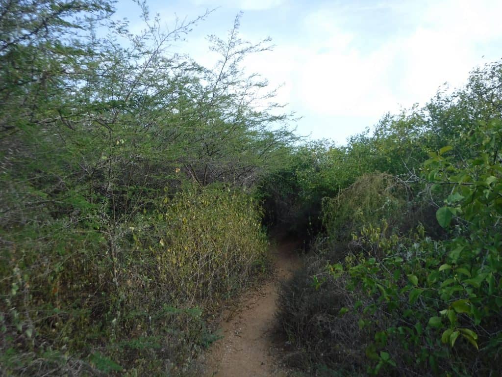 Jan Thiel Curaçao Nature Hike 1