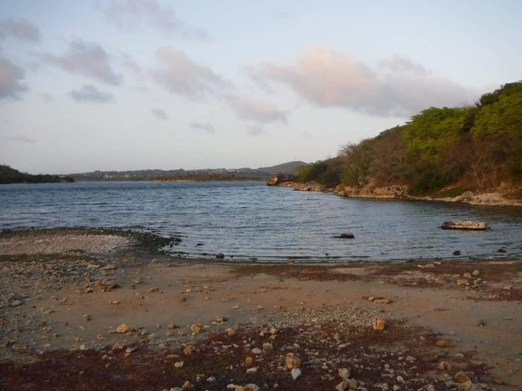 Jan Thiel Curaçao Nature Hike 25