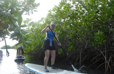 must-do-water-activities-stand-up-paddle