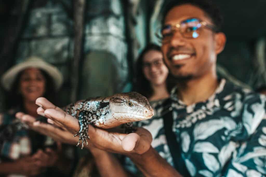 Amazonia Curaçao - The Jungle Experience